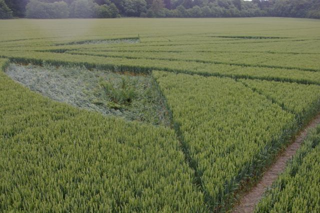 Wanborough Plain, Wiltshire crop circle, aerial photo 59