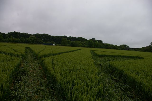 Wanborough Plain, Wiltshire crop circle, aerial photo 68