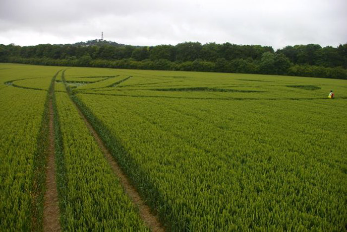 Wanborough Plain, Wiltshire crop circle, aerial photo 55