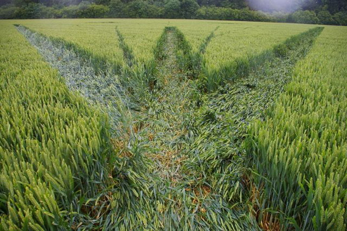 Wanborough Plain, Wiltshire crop circle, aerial photo 57