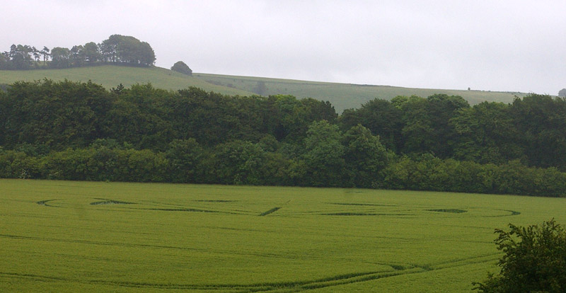 Wanborough Plain, Wiltshire crop circle, aerial photo 54