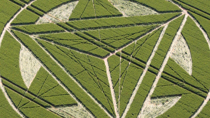 Wanborough Plain, Wiltshire crop circle, aerial photo 10