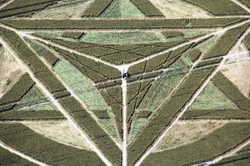 Wanborough Plain, Wiltshire crop circle, aerial photo 21