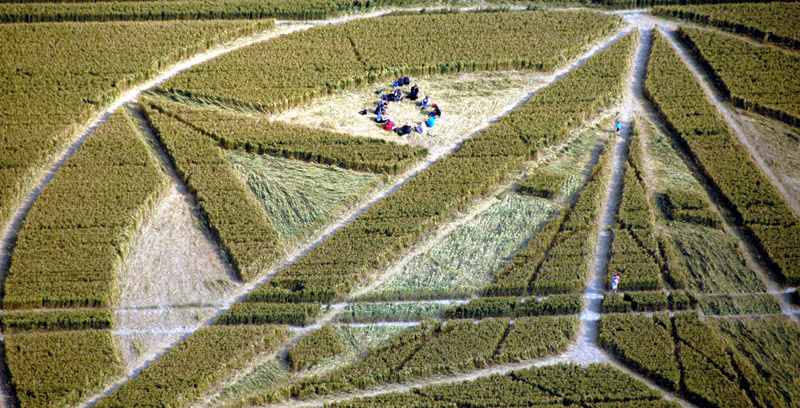 Wanborough Plain, Wiltshire crop circle, aerial photo 28