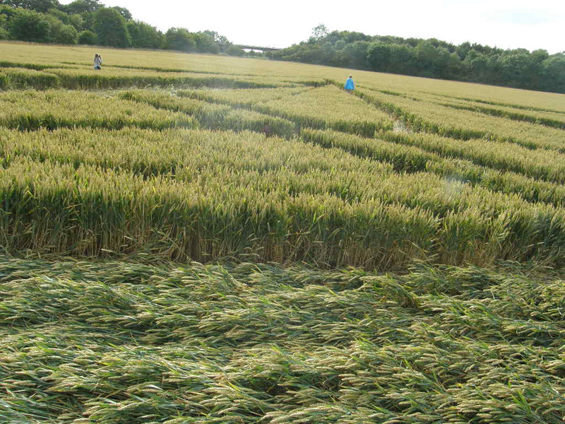 Wanborough Plain, Wiltshire crop circle, aerial photo 17