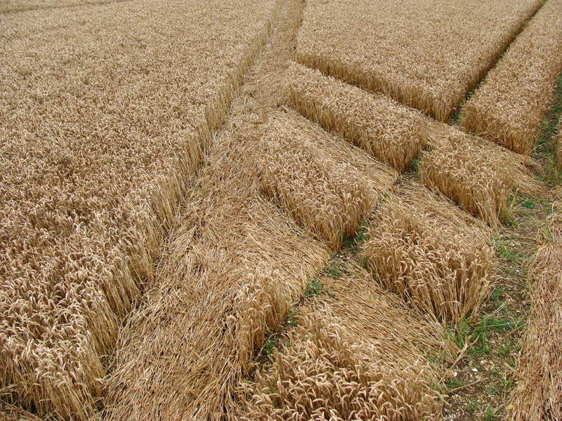Wansdyke, Wiltshire crop circle, aerial photo 9