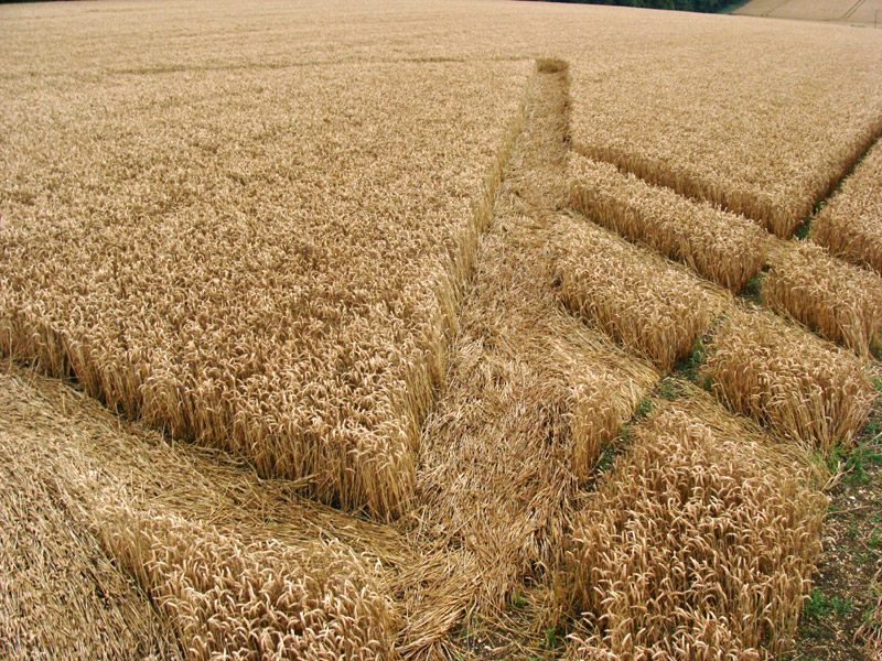 Wansdyke, Wiltshire crop circle, aerial photo 8