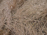 Wansdyke, Wiltshire crop circle, aerial photo 37