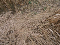 Wansdyke, Wiltshire crop circle, aerial photo 29
