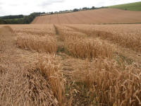 Wansdyke, Wiltshire crop circle, aerial photo 24