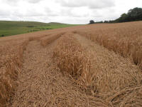 Wansdyke, Wiltshire crop circle, aerial photo 20