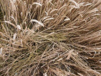 Wansdyke, Wiltshire crop circle, aerial photo 14