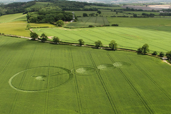 Malthous Bank, Shropshire crop circle, aerial photo 21