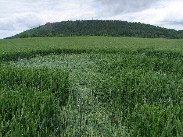 Malthous Bank, Shropshire crop circle, aerial photo 47