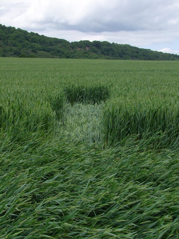 Malthous Bank, Shropshire crop circle, aerial photo 46