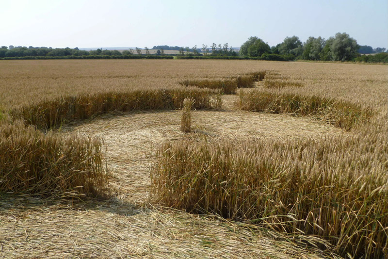 Windmill Hill, Wiltshire crop circle, aerial photo 61