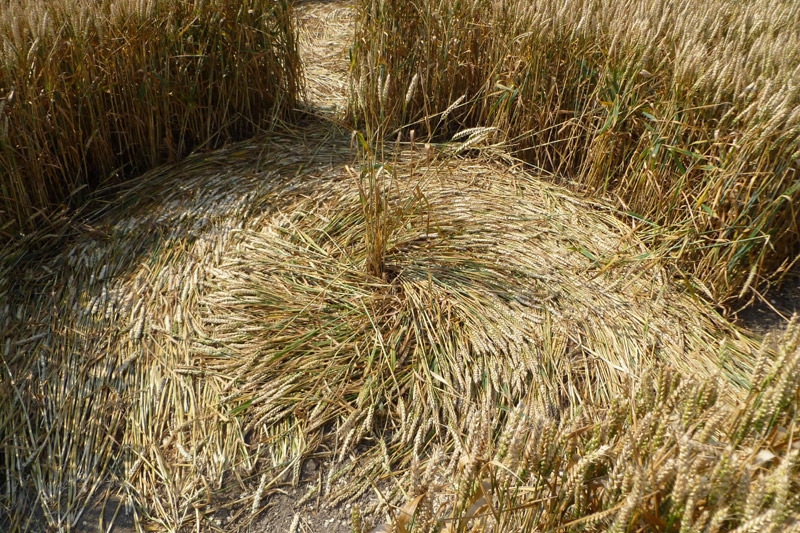 Windmill Hill, Wiltshire crop circle, aerial photo 57