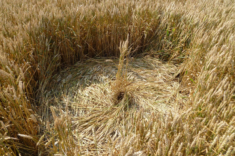 Windmill Hill, Wiltshire crop circle, aerial photo 56
