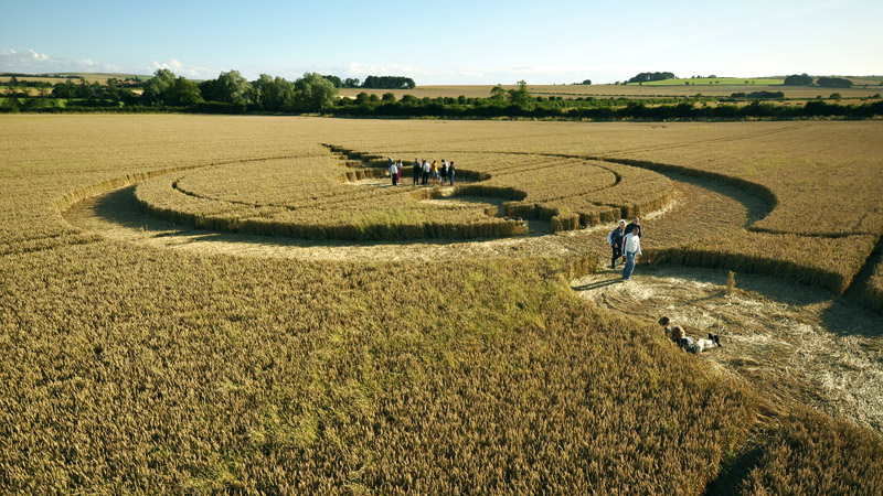 Windmill Hill, Wiltshire crop circle, aerial photo 42
