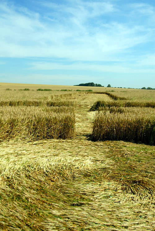 Windmill Hill, Wiltshire crop circle, aerial photo 51