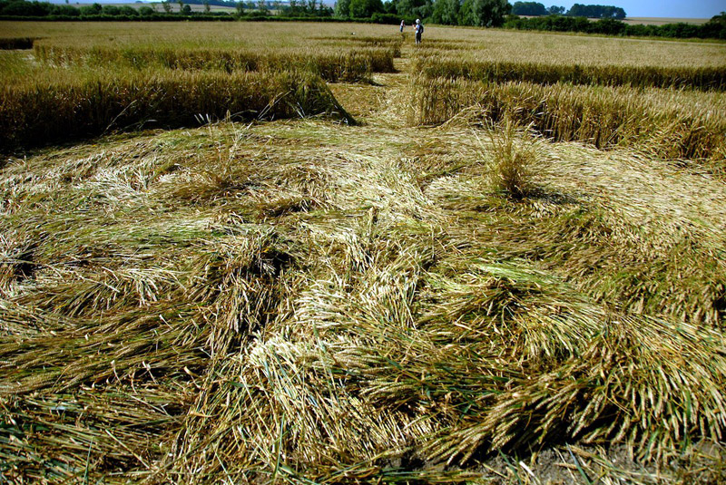 Windmill Hill, Wiltshire crop circle, aerial photo 49