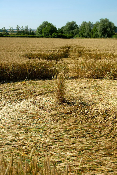 Windmill Hill, Wiltshire crop circle, aerial photo 52