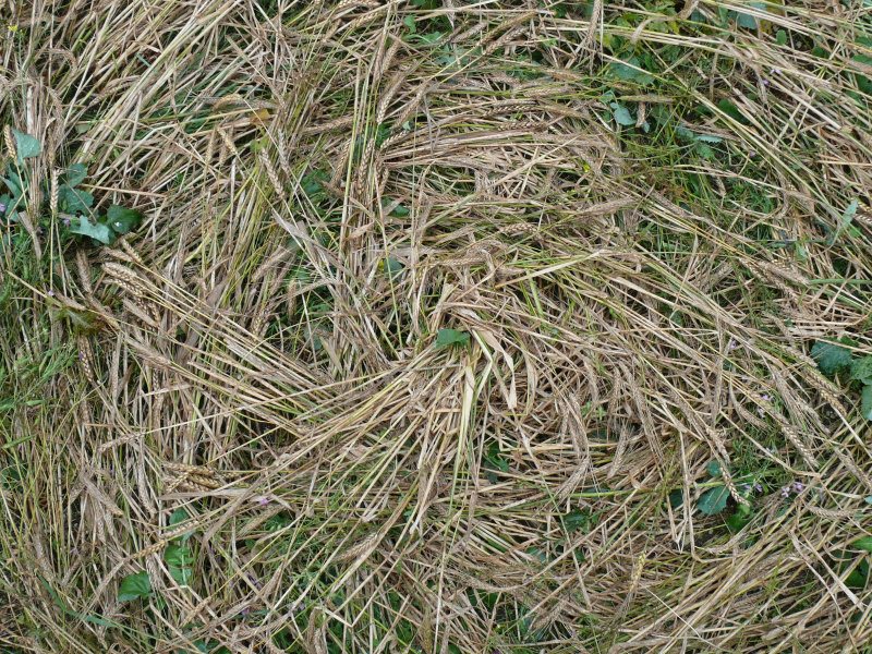 Windmill Hill, Wiltshire crop circle, aerial photo 29