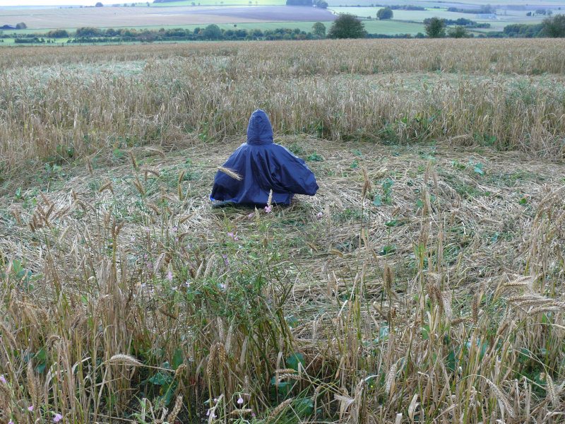 Windmill Hill, Wiltshire crop circle, aerial photo 38