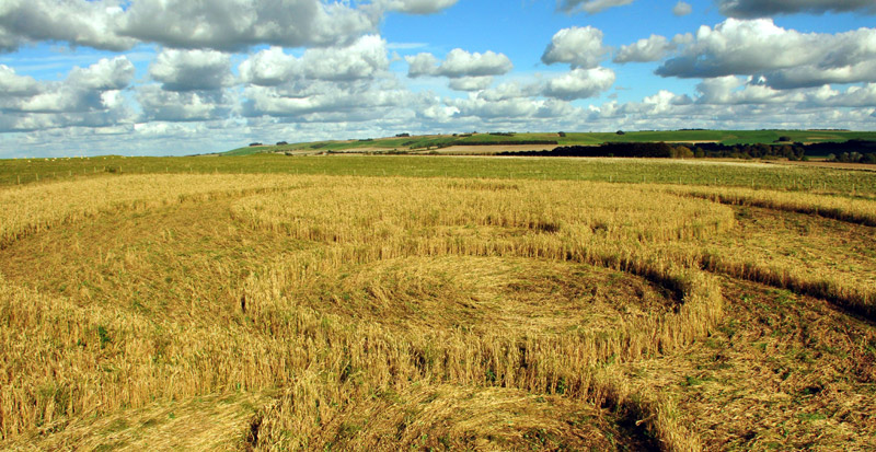 Windmill Hill, Wiltshire crop circle, aerial photo 16