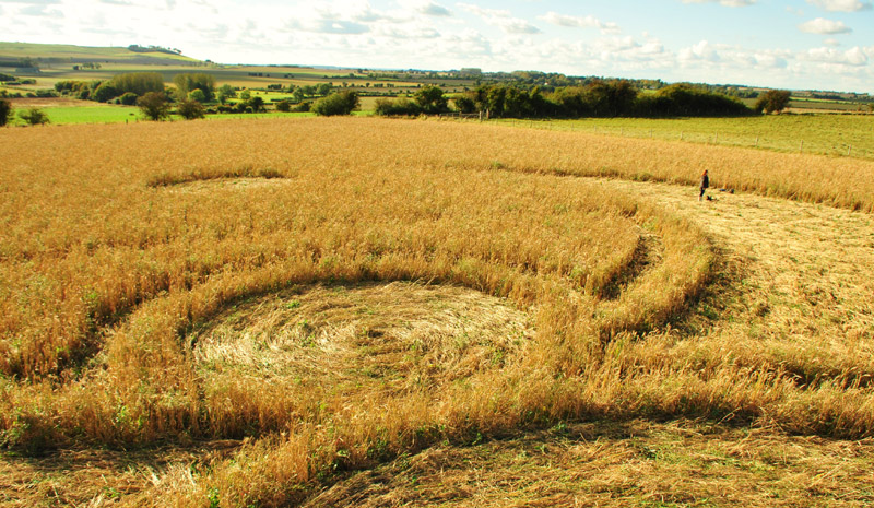 Windmill Hill, Wiltshire crop circle, aerial photo 19