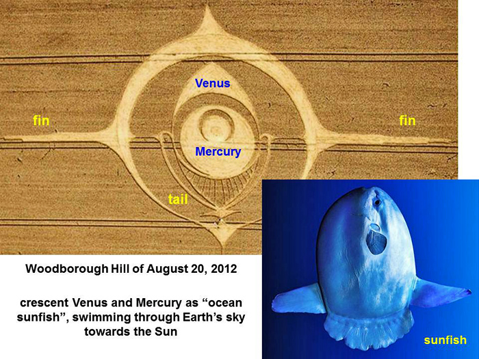Woodborough Hill, Wiltshire crop circle, aerial photo 7