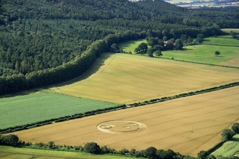 The Wrekin, Shropshire crop circle, ground photo 7