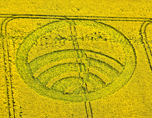 Yarnbury Castle, Wiltshire crop circle, aerial photo 4