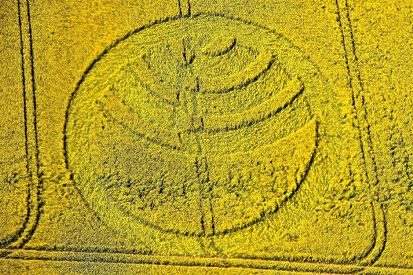 Yarnbury Castle, Wiltshire crop circle, aerial photo 59