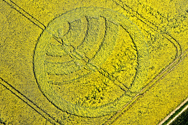 Yarnbury Castle, Wiltshire crop circle, aerial photo 8
