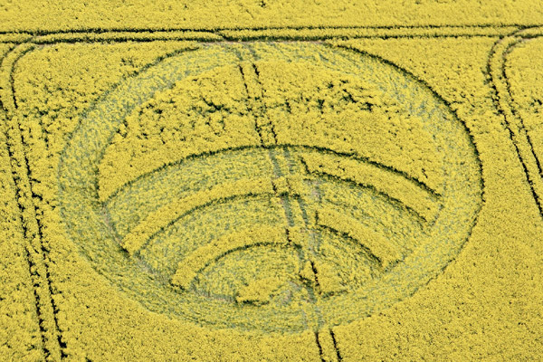 Yarnbury Castle, Wiltshire crop circle, aerial photo 7