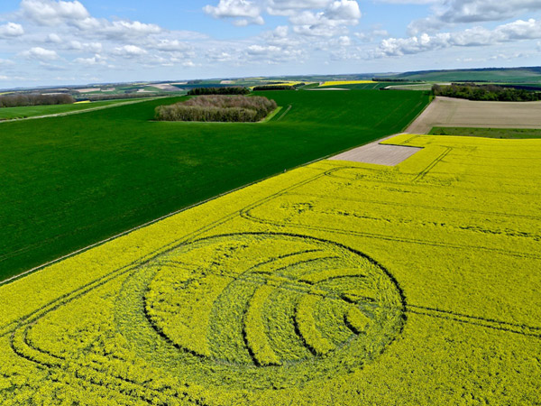 Yarnbury Castle, Wiltshire crop circle, aerial photo 3