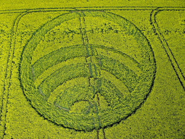 Yarnbury Castle, Wiltshire crop circle, aerial photo 2