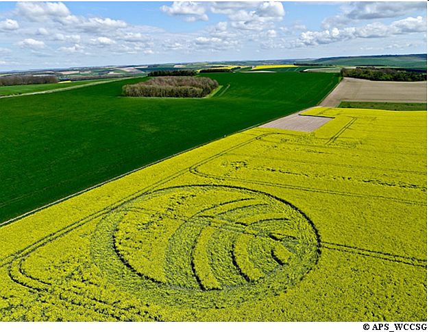 Yarnbury Castle, Wiltshire crop circle, aerial photo 41