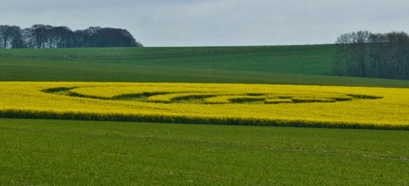 Yarnbury Castle, Wiltshire crop circle, aerial photo 55