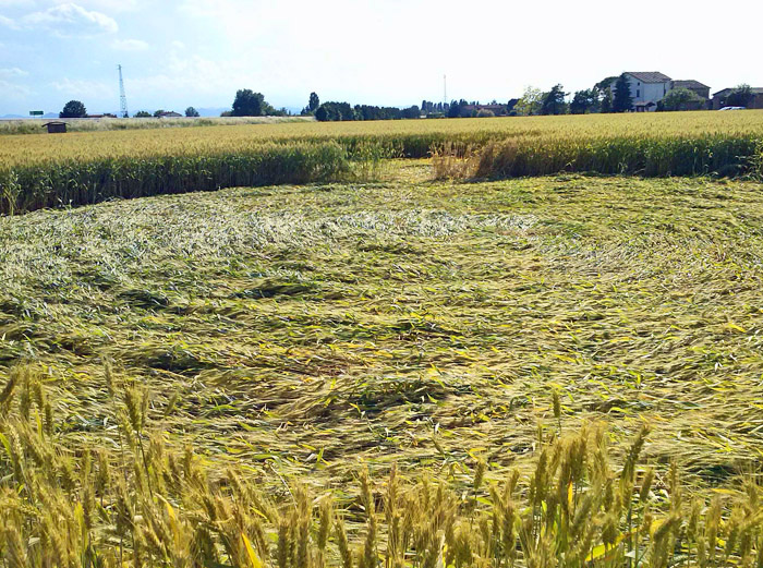 Barbiano Cotignola, Italy crop circle, aerial photo 19