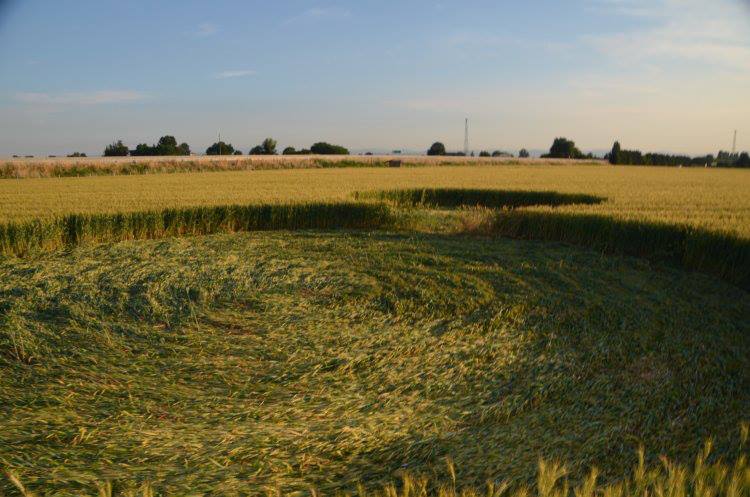 Barbiano Cotignola, Italy crop circle, aerial photo 11