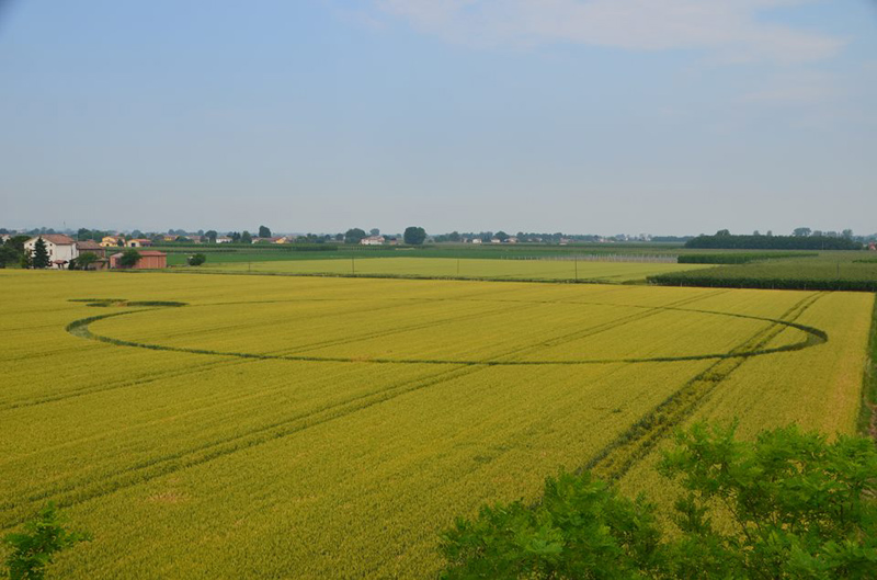 Barbiano Cotignola, Italy crop circle, aerial photo 10