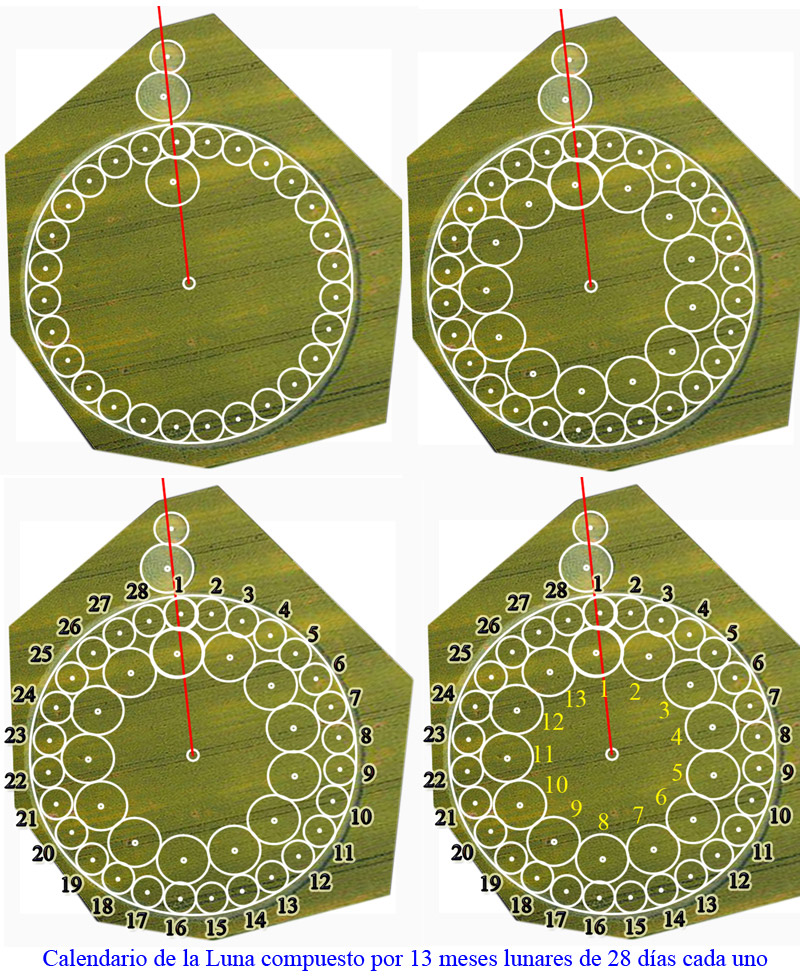 Barbiano Cotignola, Italy crop circle, aerial photo 5