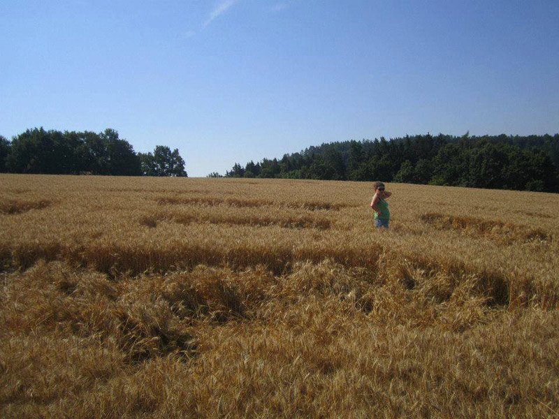 Benesov, Czech Republic crop circle, aerial photo 3