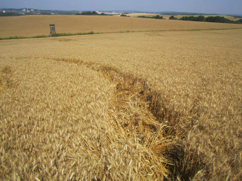 Benesov, Czech Republic crop circle, aerial photo 4