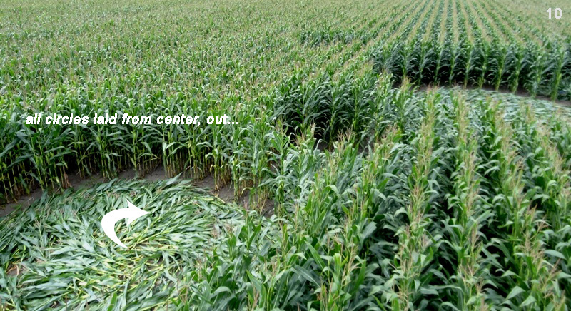 Bosschenhoofd, Netherlands crop circle, aerial photo 9