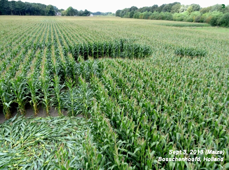 Bosschenhoofd, Netherlands crop circle, aerial photo 3
