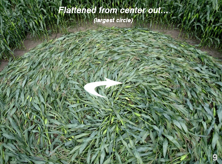 Bosschenhoofd, Netherlands crop circle, aerial photo 8