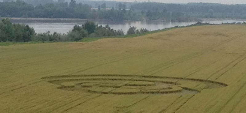 Cava Manara (Pavia), Italy crop circle, aerial photo 6